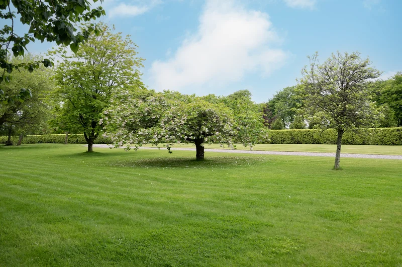 Carewswood House Castlemartyr , Cork, CO P25XF84, Ladysbridge, County Cork, Ireland. - Photo 15