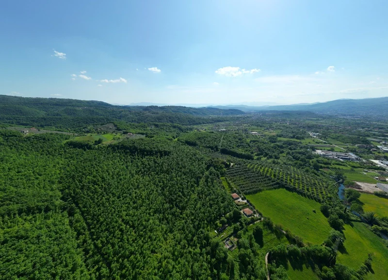 03030 Broccostella, Province of Frosinone, Italy, Broccostella, Lazio, Italy. - Photo 34