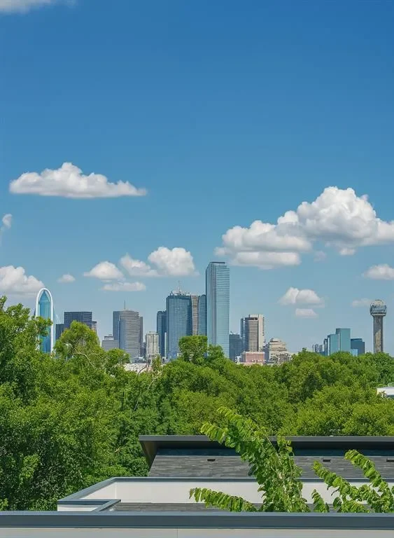 918 Duluth Street, Dallas, Texas, United States. - Photo 28