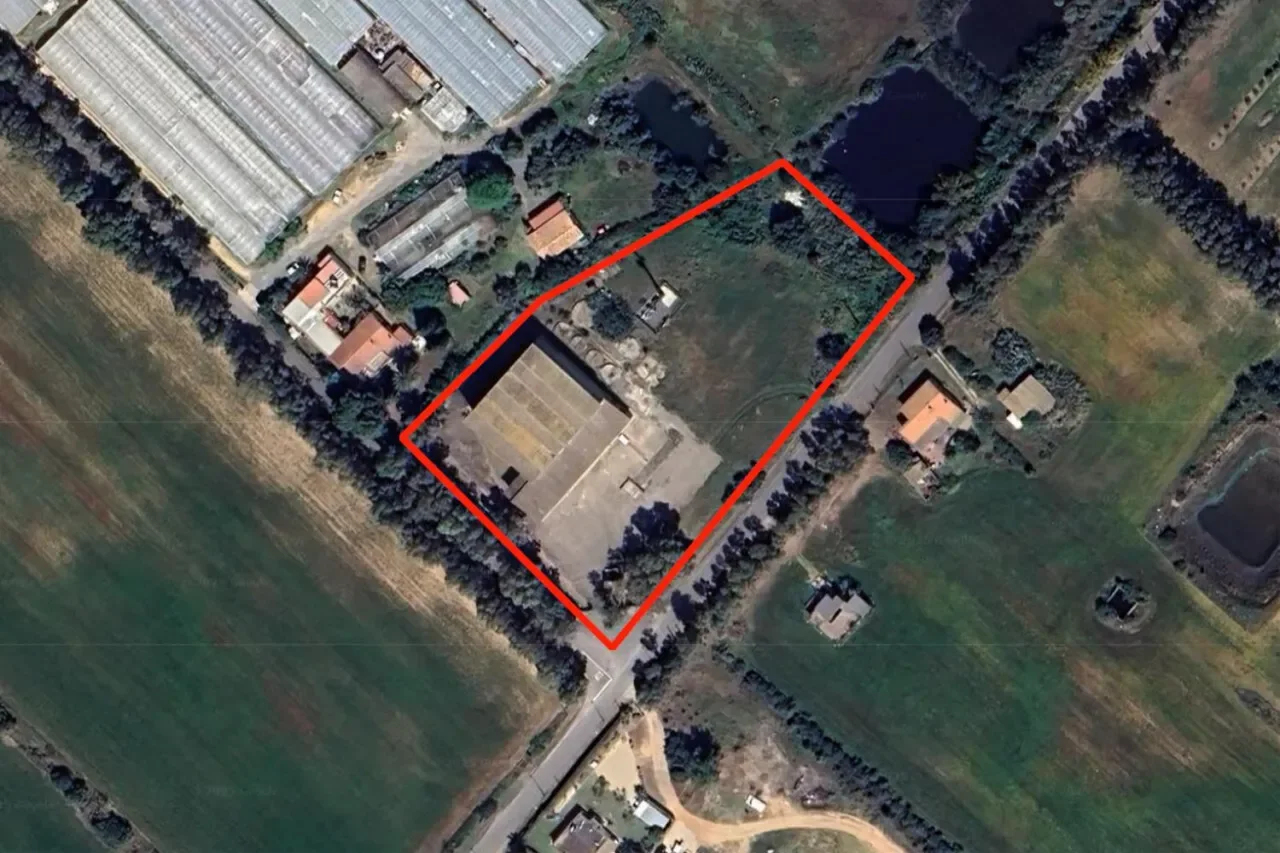 Ravenna farm