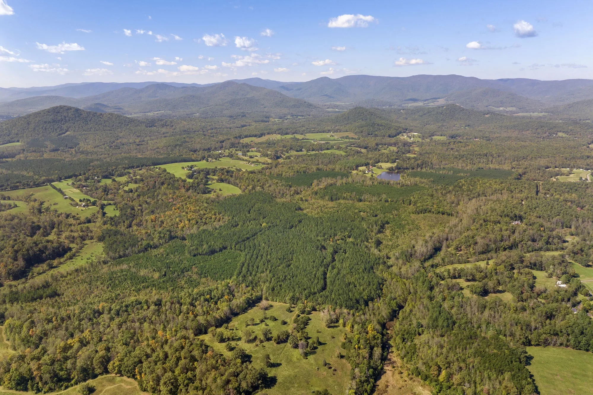 955 Simmons Gap Rd, Dyke, VA 22935, Dyke, Virginia, United States. - Photo 16