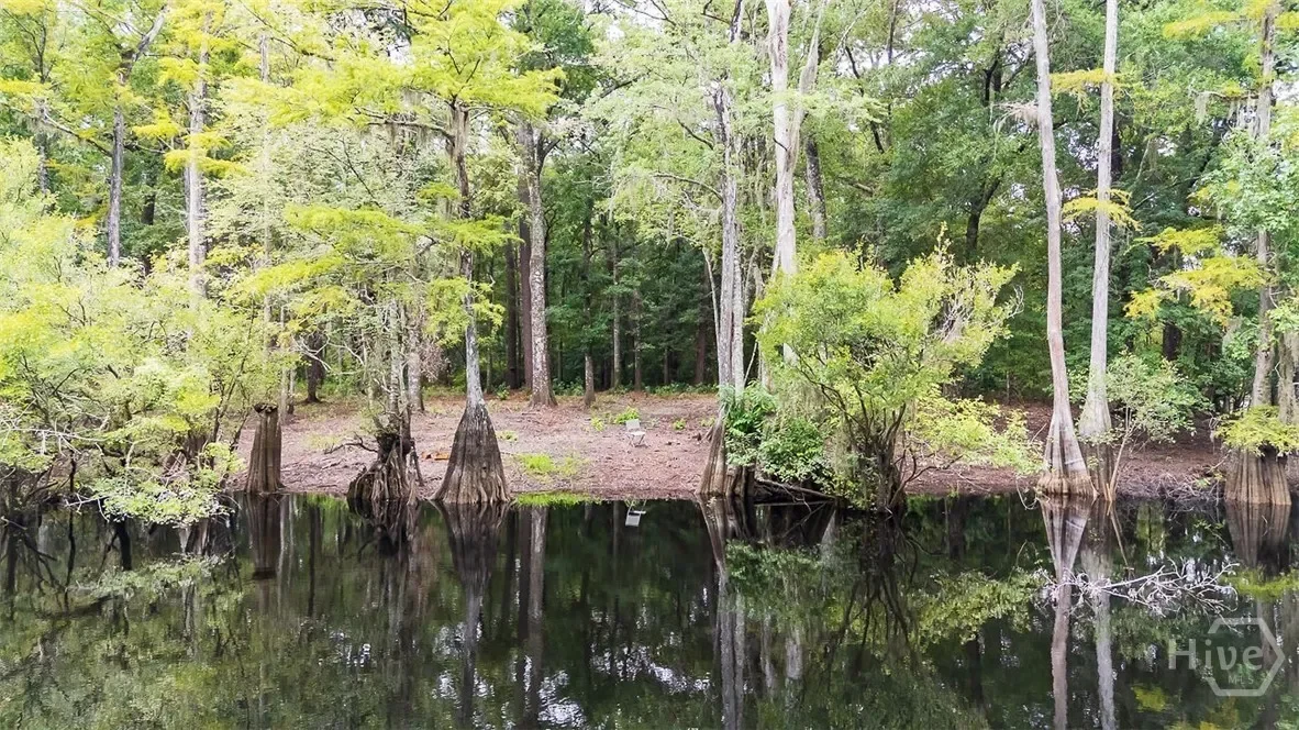 131 High Bluff Road, Rincon, Georgia, United States. - Photo 48