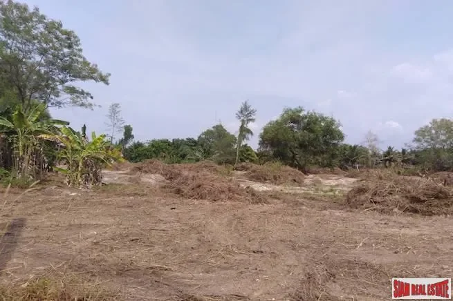 Phang Nga,, Bang Muang, Phang-nga, Thailand. - Photo 2