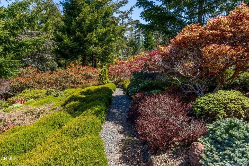 40811 Eureka Hill Road, Point Arena, California, United States. - Photo 3