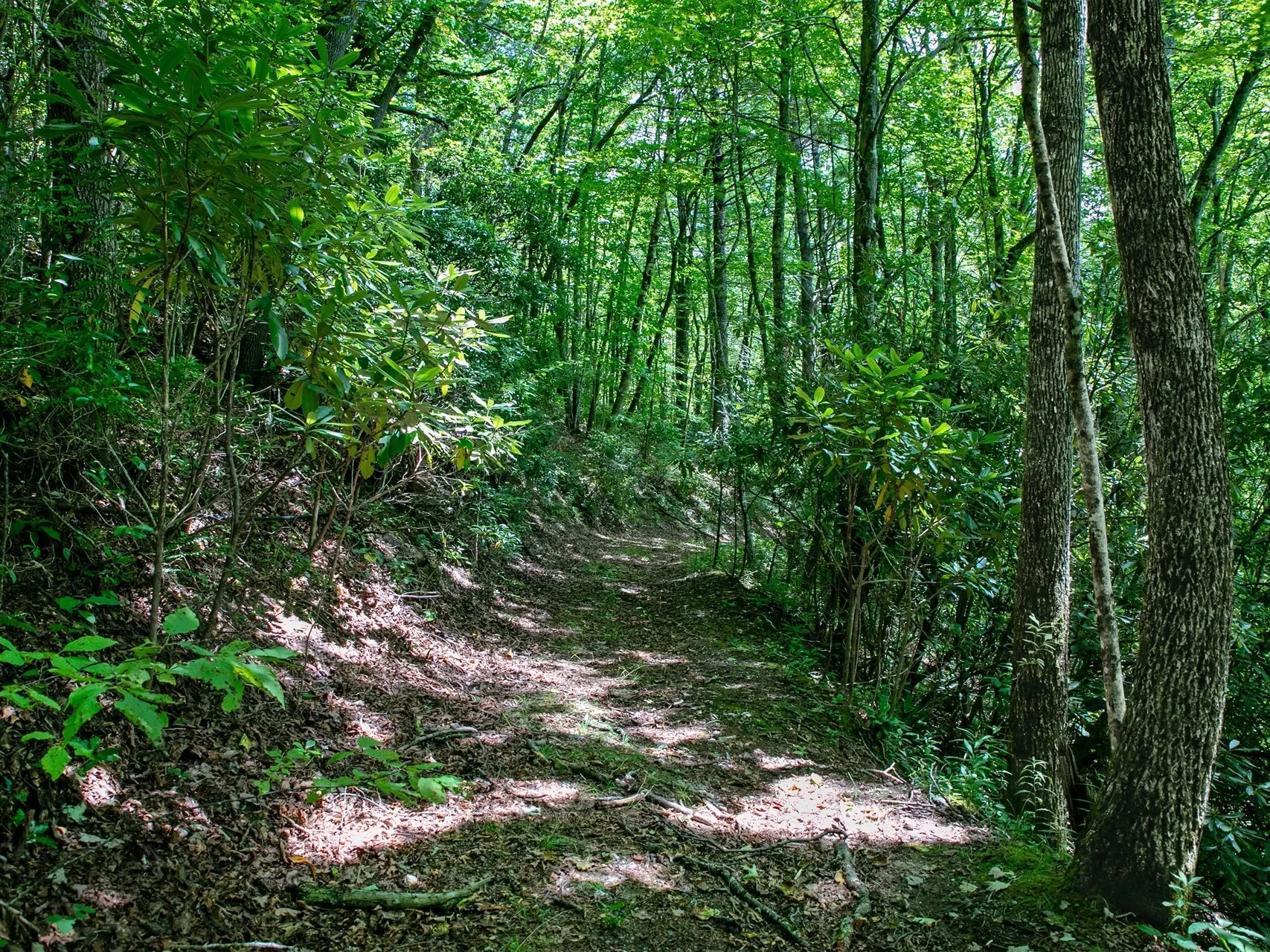 999 Robinson Creek, Glenville, NC, 28736, USA, 28736, North Carolina, United States. - Photo 19