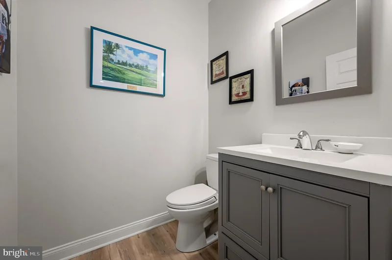 18132 Shenstone Run Court, Leesburg, VA 20175, Leesburg, Virginia, United States. - Photo 19