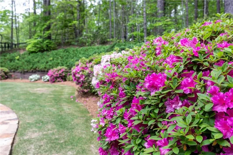 176 Nightwind Trace, Acworth, GA 30101, Acworth, Georgia, United States. - Photo 6