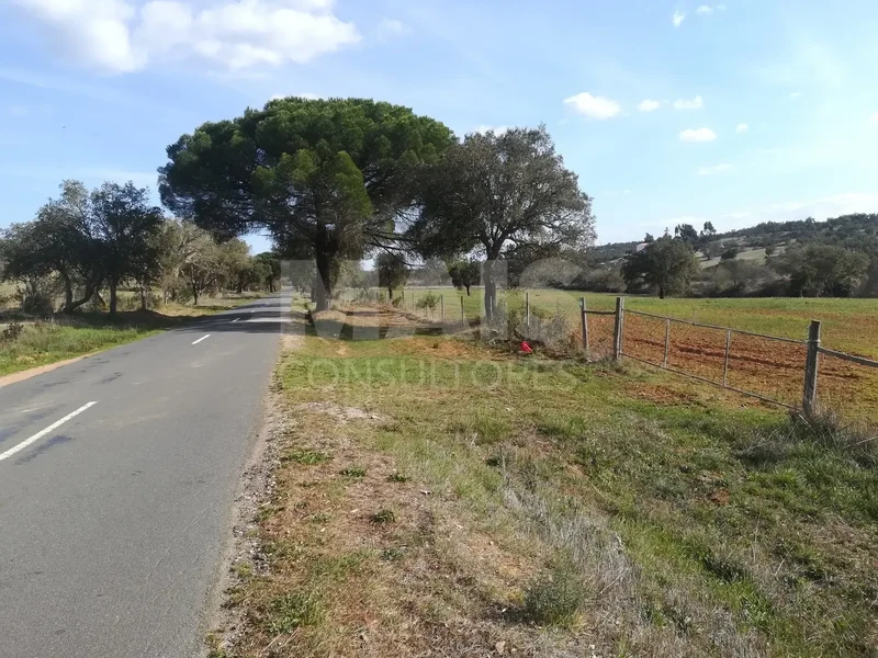 Abela, Setubal, Portugal. - Photo 8