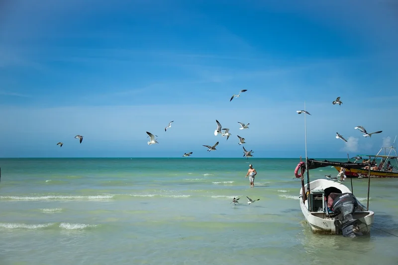 Paseo Carey, Isla Holbox, ROO 77310, Holbox, Quintana Roo, Mexico. - Photo 59