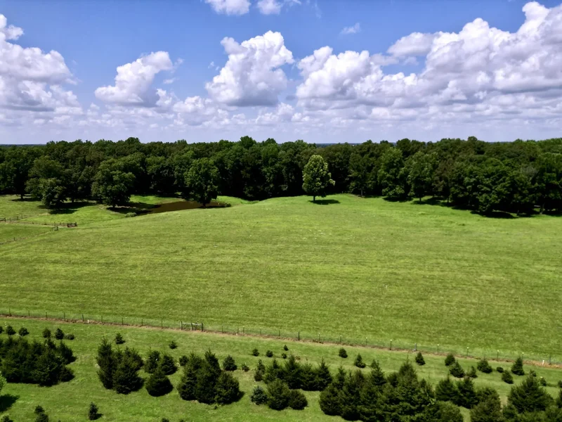 3225 Pinson School Rd , Greenbrier, TN 37073, Greenbrier, Tennessee, United States. - Photo 73