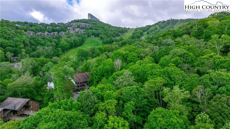 1358 Sugar Mountain Drive, Banner Elk, North Carolina, United States. - Photo 16