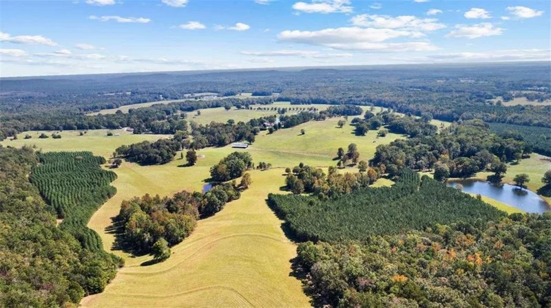 5225 Chalybeate Springs Road, Woodland, GA 31836, Woodland, Georgia, United States. - Photo 29