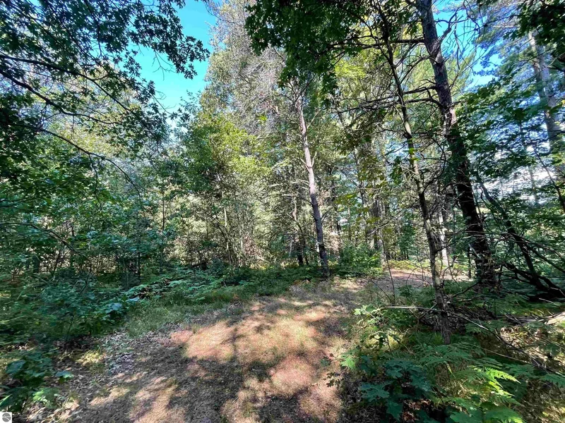 2492 E Fir Road, Harrison, MI 48625, Harrison, Michigan, United States. - Photo 81
