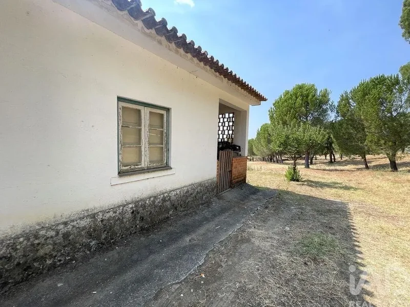 São Pedro de Tomar, Tomar, Santarém, Tomar, Tomar (Sao Joao Baptista) e Santa Maria dos Olivais, Santarem District, Portugal. - Photo 12