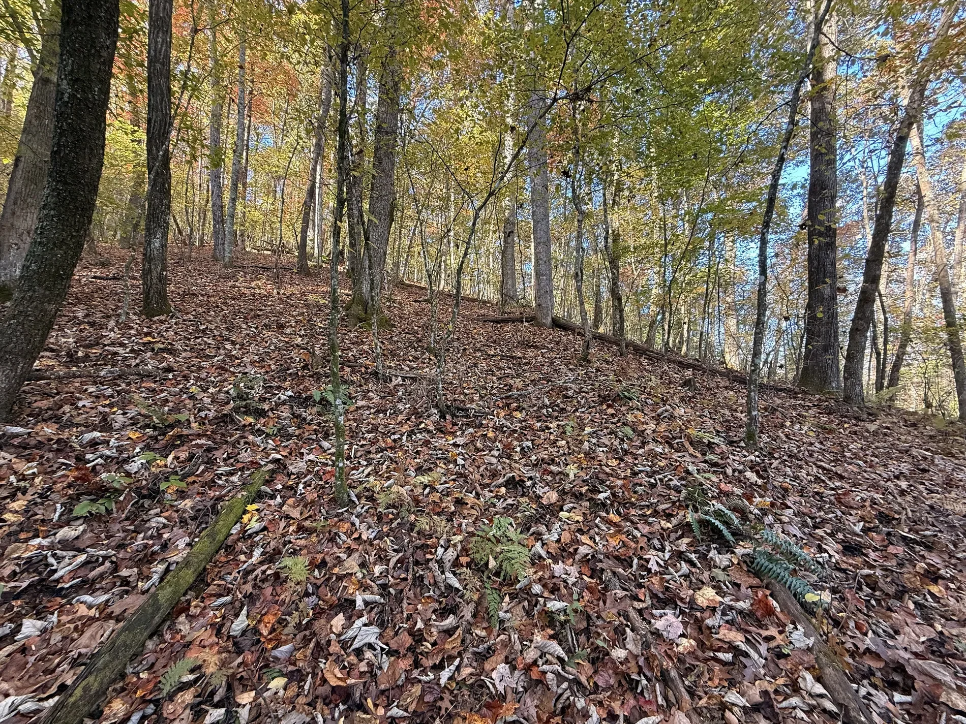 Property photo 12