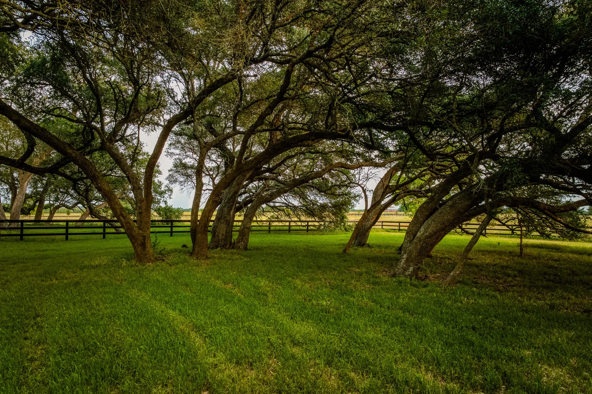 104 Hartfield Hill Ln , Round Top, TX 78954, Round Top, Texas, United States. - Photo 20
