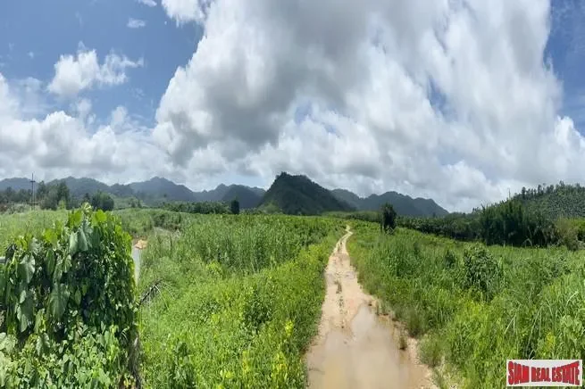 Phang Nga,, Khuekkhak, Phang-nga, Thailand. - Photo 8