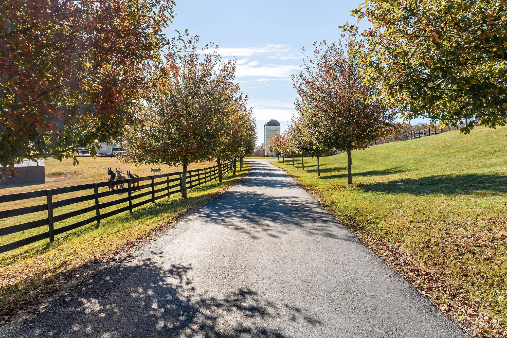 2687 Milton Farm, Charlottesville, VA 22902, Charlottesville, Virginia, United States. - Photo 38