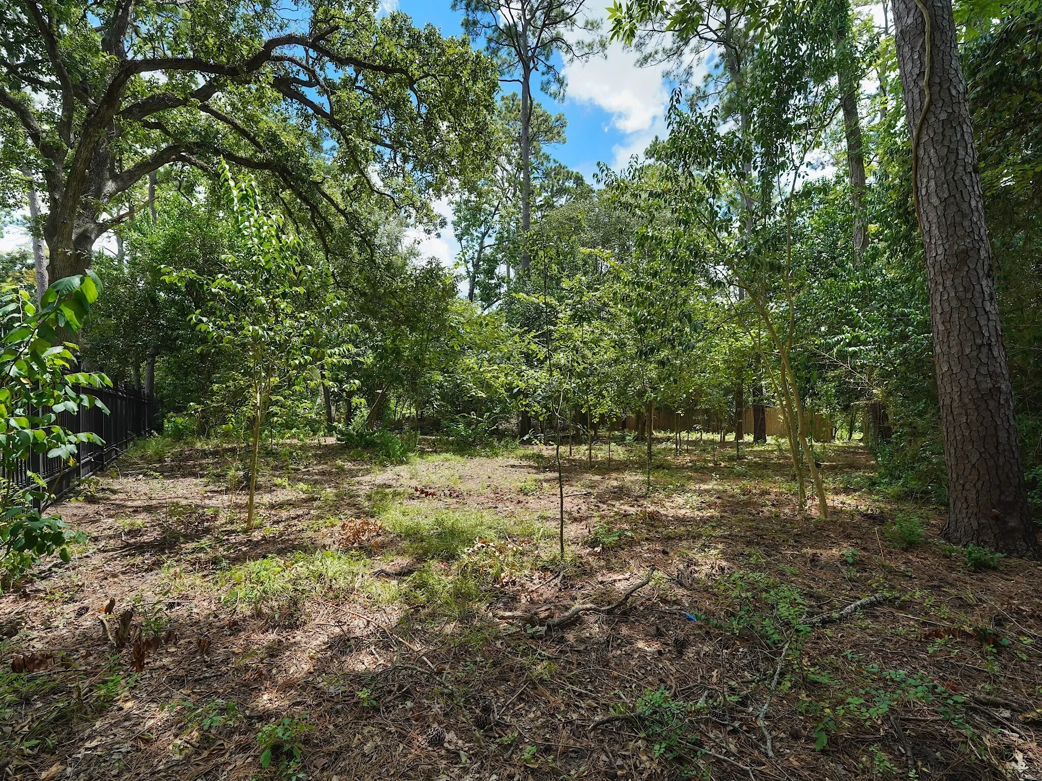 7 Carlton Park Court, Houston, TX 77024, Houston, Texas, United States. - Photo 4