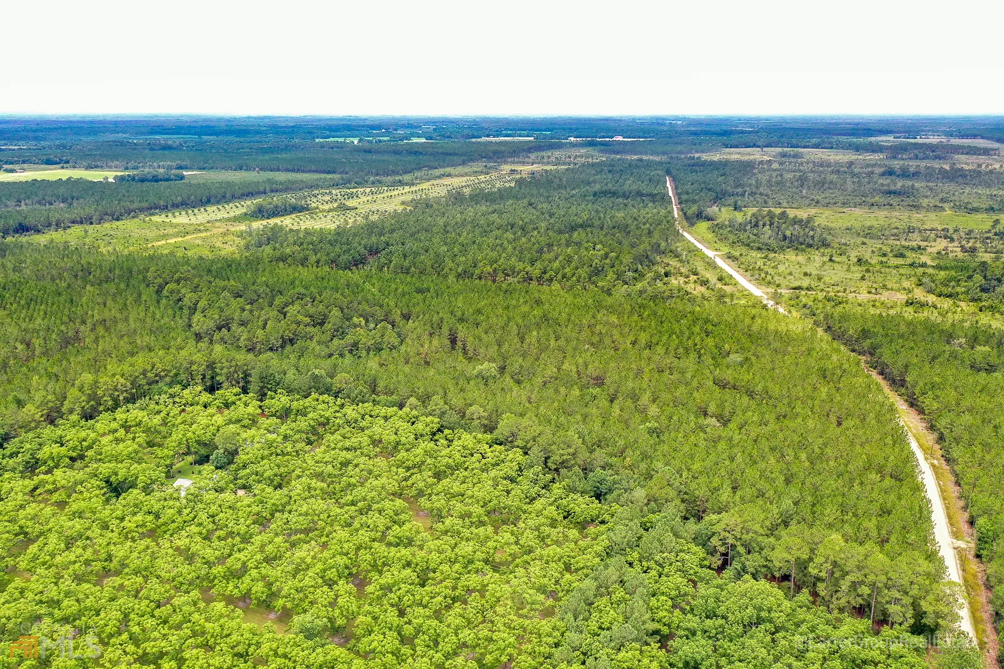 0 Miller Hayes Road, Waycross, GA 31503, Waycross, Georgia, United States. - Photo 11