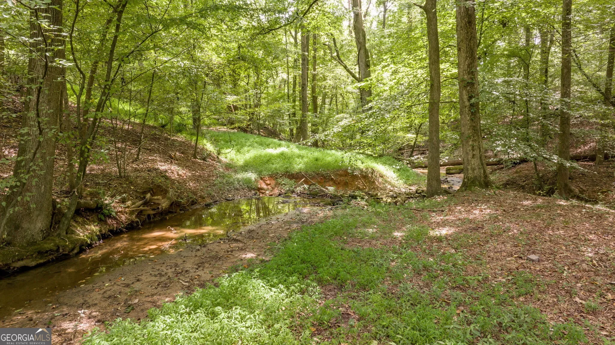 Lula, Georgia, United States. - Photo 72