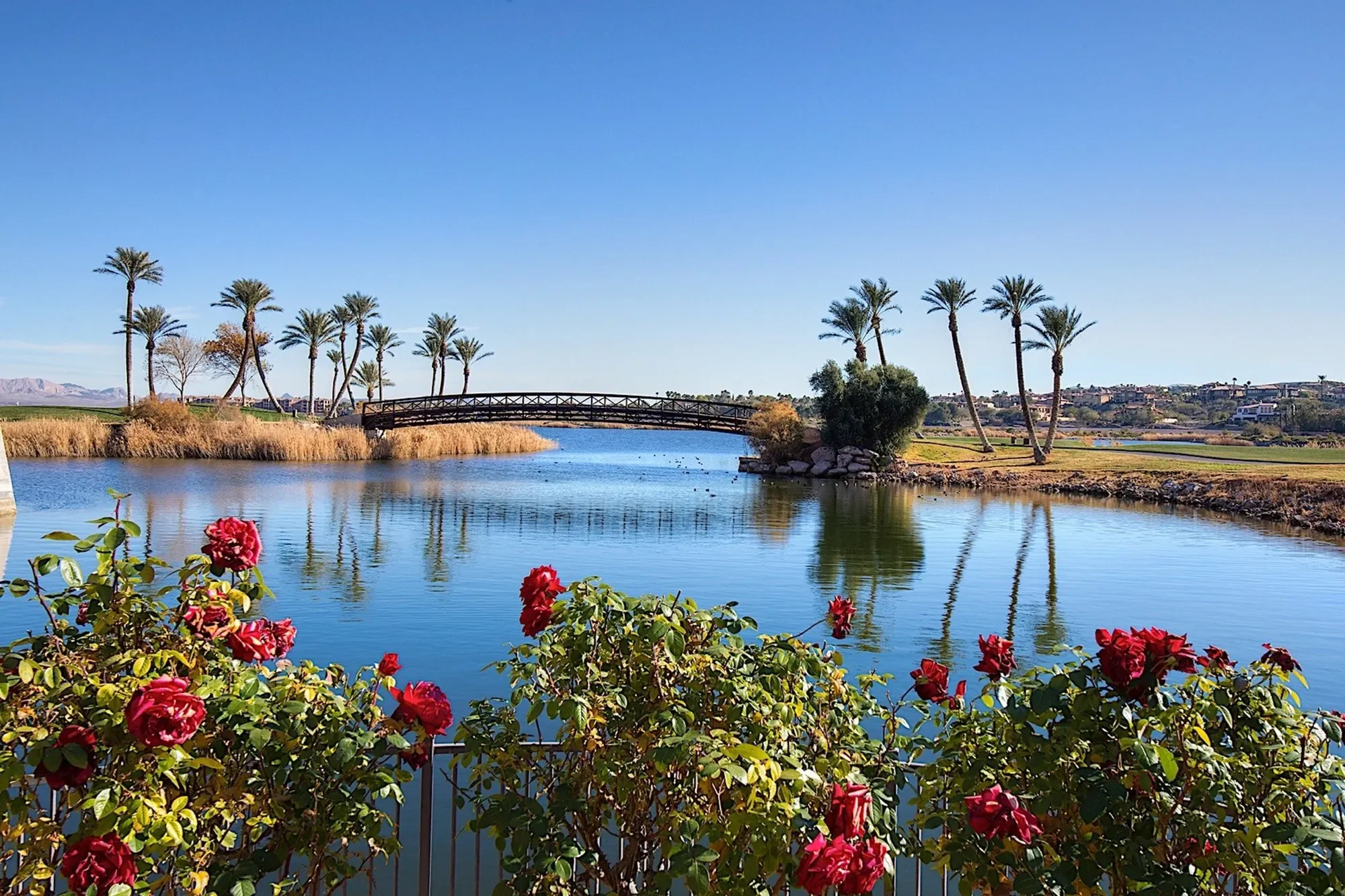 351 Tigullio Avenue, Henderson, NV 899011, Henderson, Nevada, United States. - Photo 49