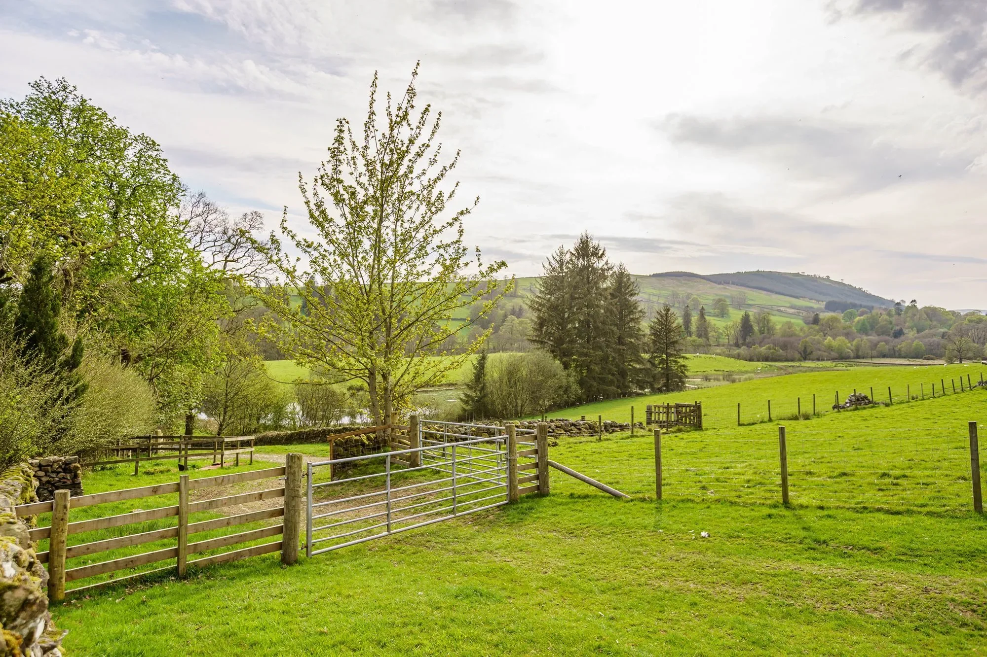 Moniaive, Thornhill, Thornhill, Scotland, United Kingdom. - Photo 14