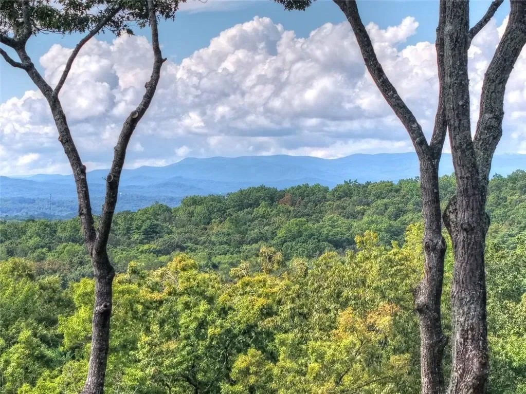 67 Antler Way, Morganton, Georgia, United States. - Photo 33
