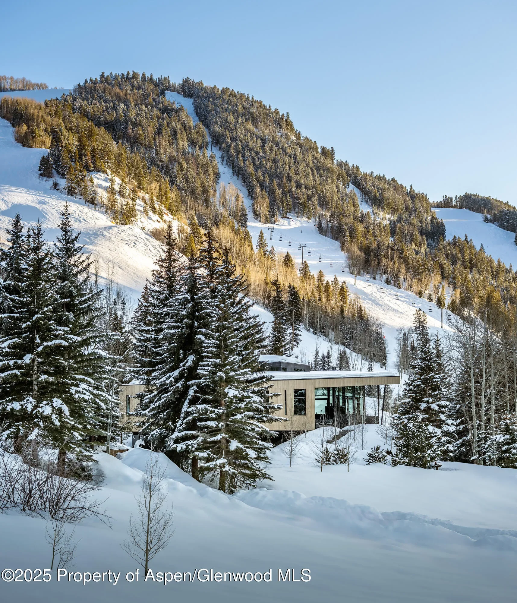 296 Glen Dee Road, Aspen, Colorado, United States. - Photo 5