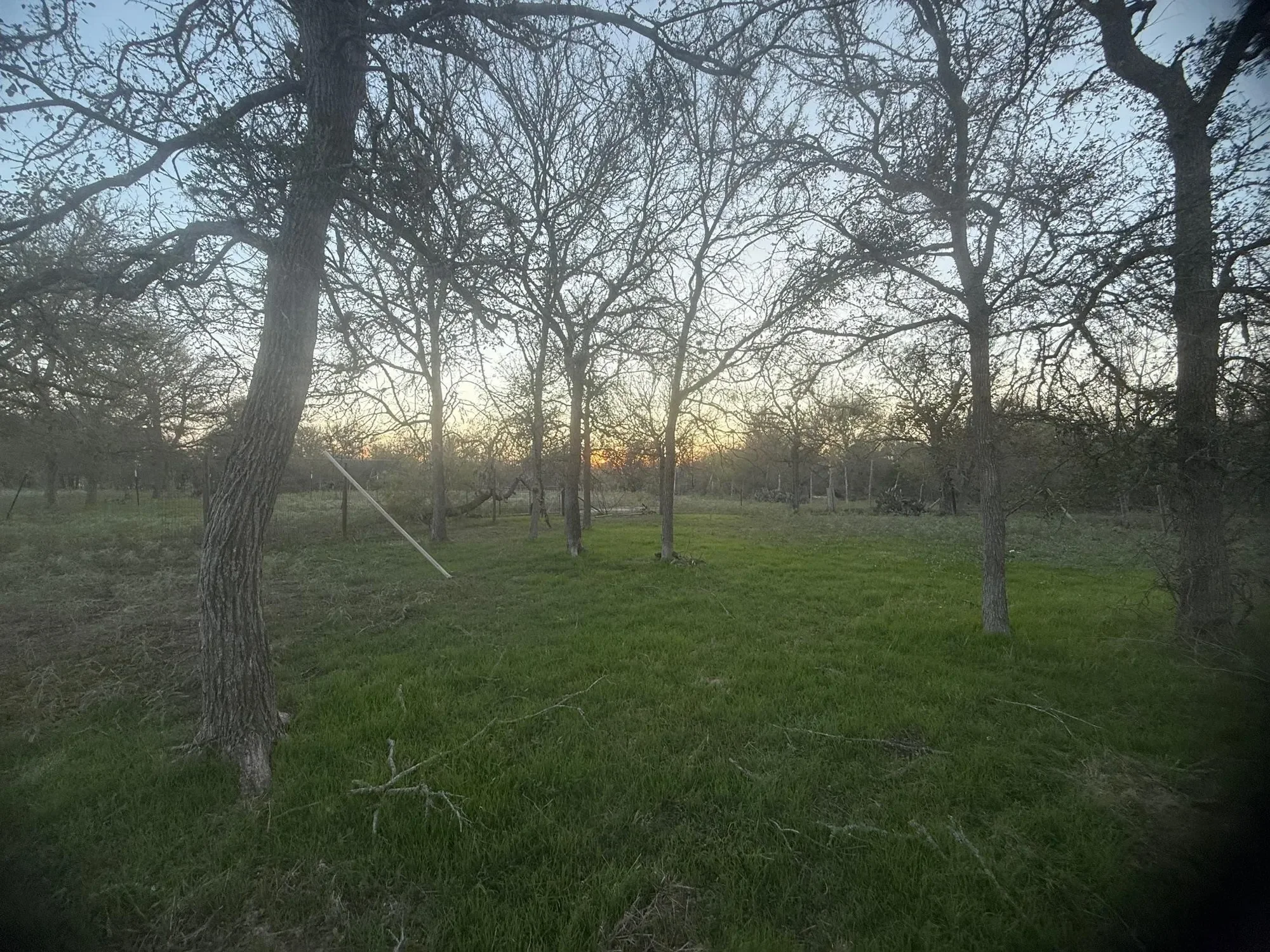 326 The Forest RD, Dale, Texas, United States. - Photo 32