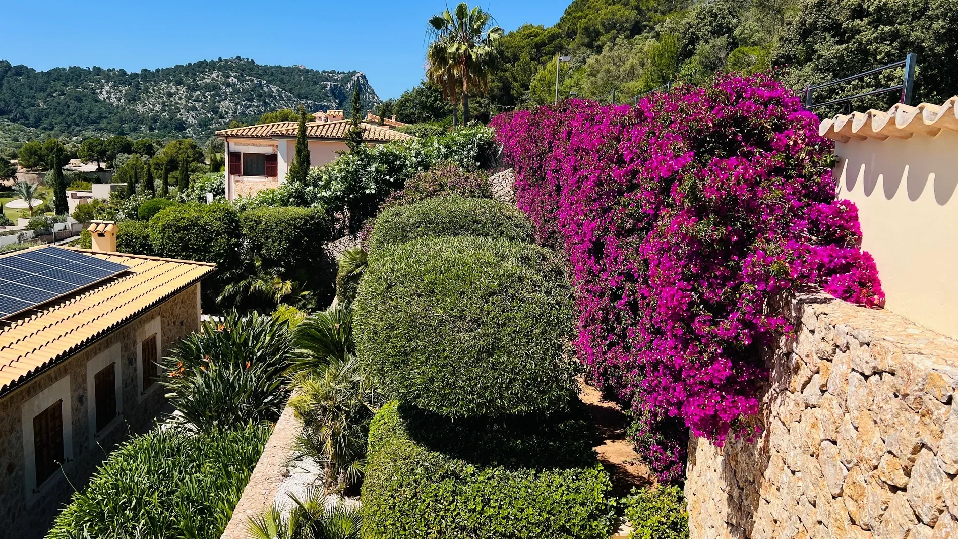 Pollensa, Mallorca, Pollensa, Pollenca, Balearic Islands, Spain. - Photo 46