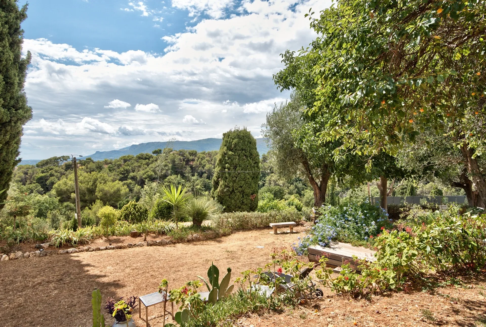 Nice, Provence-Alpes-Côte d'Azur, France. - Photo 5