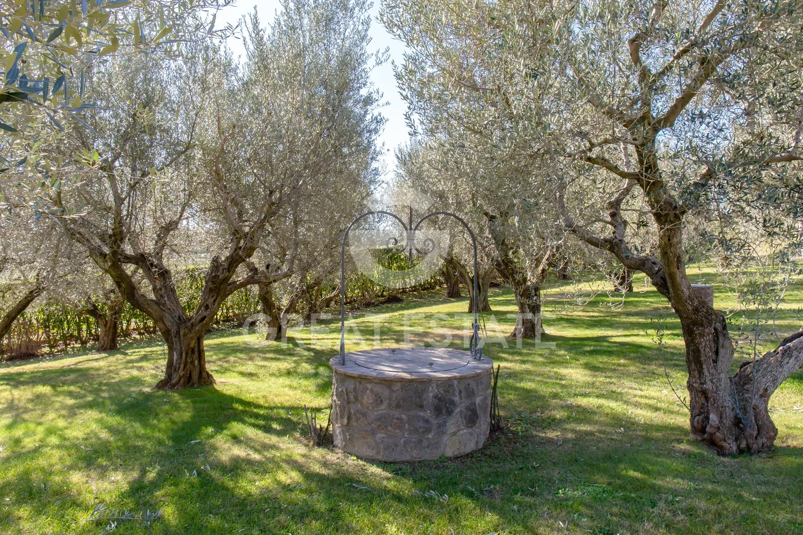 Lazio, Montefiascone, Lazio, Italy. - Photo 18