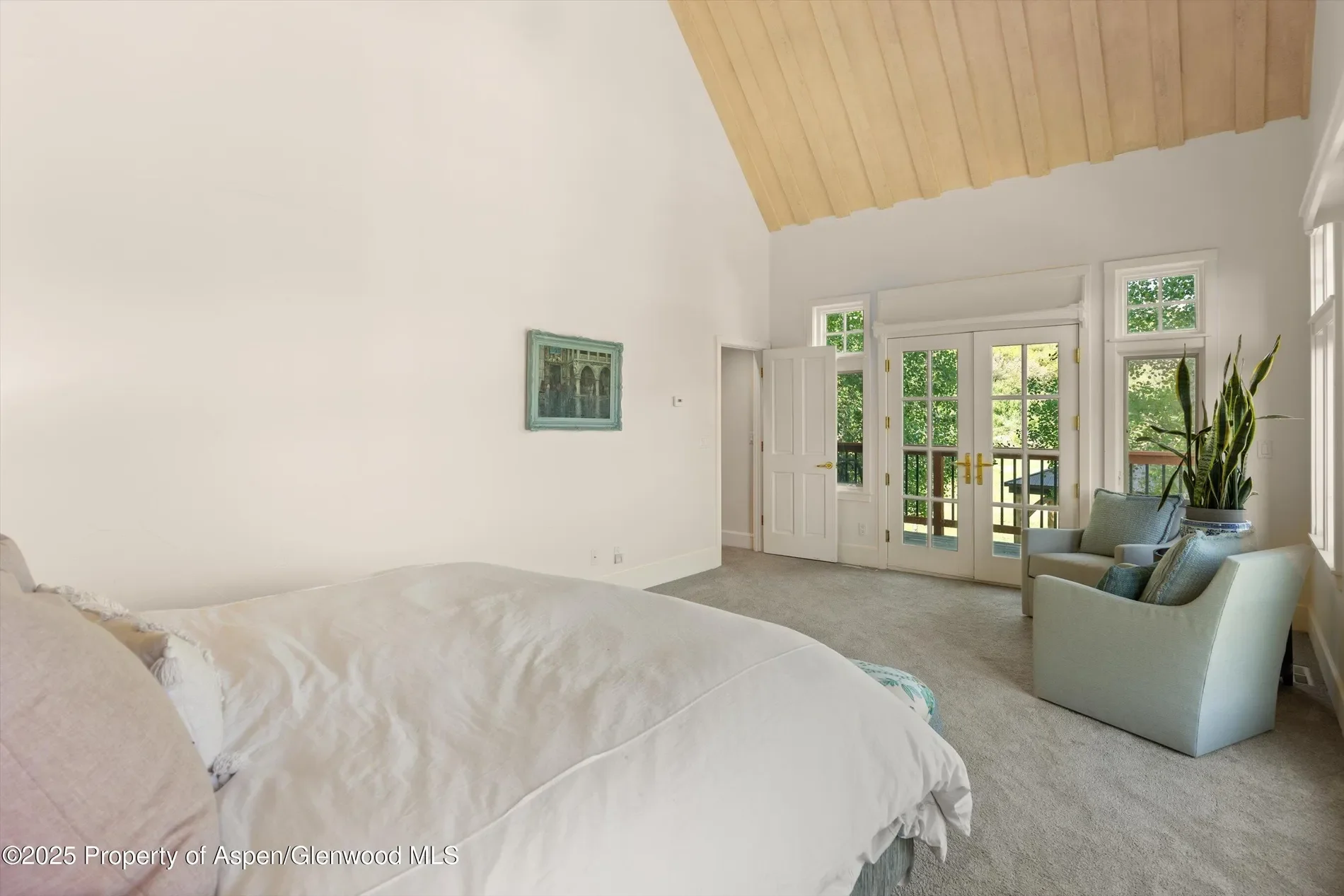 2240 Old Herron Road, El Jebel, Colorado, United States. - Photo 9