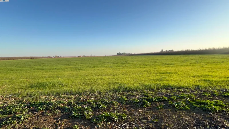 1290 Orange Ave, Patterson, California, United States. - Photo 14