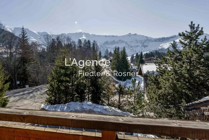 Megève, Auvergne-Rhône-Alpes, France. - Photo 34