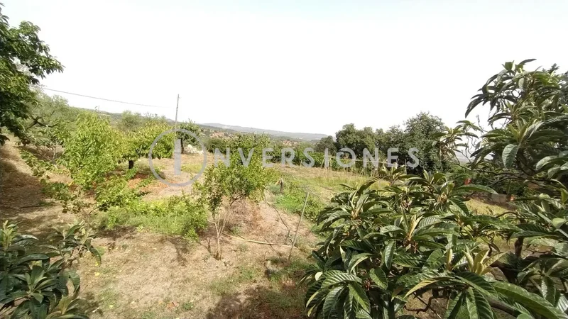 Cataluña, Vimbodi, TARRAGONA, Vimbodi, Vimbodi i Poblet, Catalonia, Spain. - Photo 33