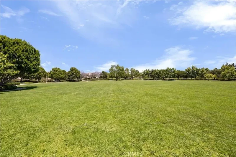 3229 Larkspur Street, Tustin, California, United States. - Photo 57