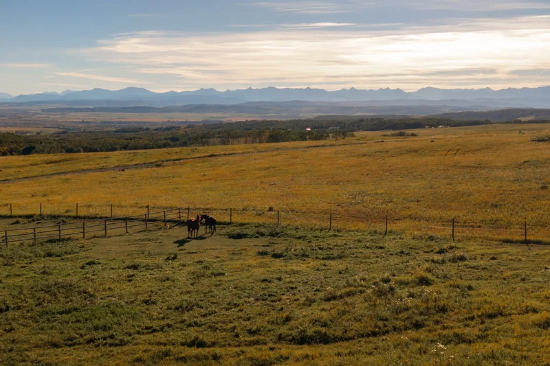 290254 96 Street W, Rural Foothills M.D., AB T1S 0V2, Foothills No. 31, Alberta, Canada. - Photo 40