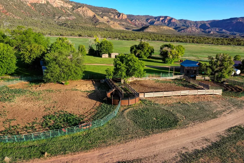 Sinbad Ranch , Gateway, CO 81522, Gateway, Colorado, United States. - Photo 24