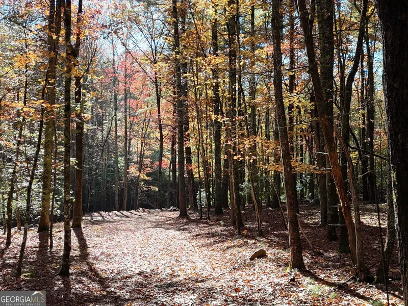 80.62 AC Morganton Hwy, Suches, GA, 30572, USA, Suches, Georgia, United States. - Photo 28