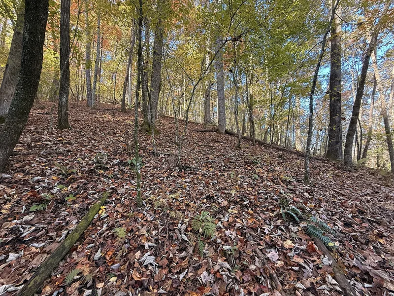 0 O'V Justus Road, Rabun Gap, GA 30568, Rabun Gap, Georgia, United States. - Photo 12