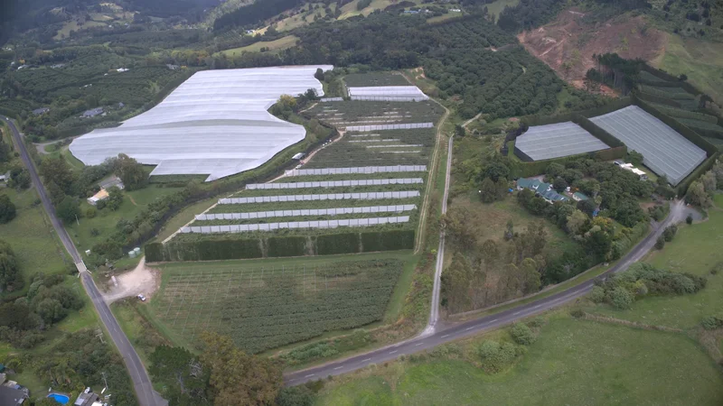 41 Ross Ware Drive, Athenree Gorge 3177, New Zealand, Athenree Gorge, Bay of Plenty, New Zealand. - Photo 4