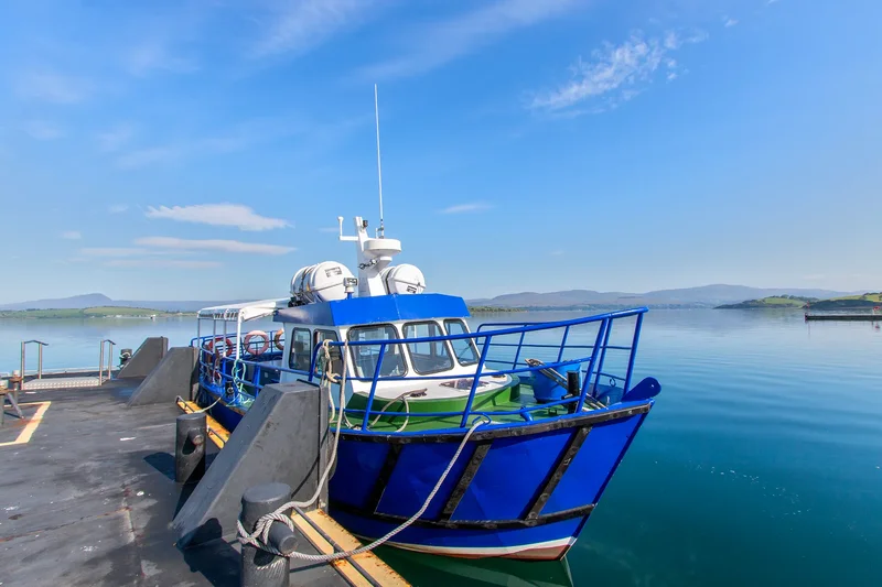 Whiddy Island, Tranaha, County Cork, Ireland. - Photo 17