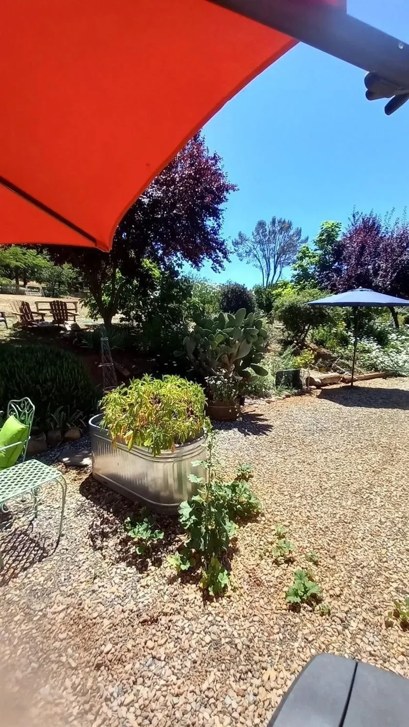 15579 Jesus Maria Road, Mokelumne Hill, CA 95245, Mokelumne Hill, California, United States. - Photo 18