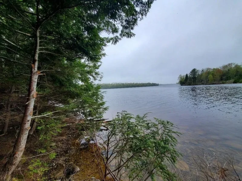 0 Blackcat Pt Drive, Princeton, ME 04668, Princeton, Maine, United States. - Photo 25