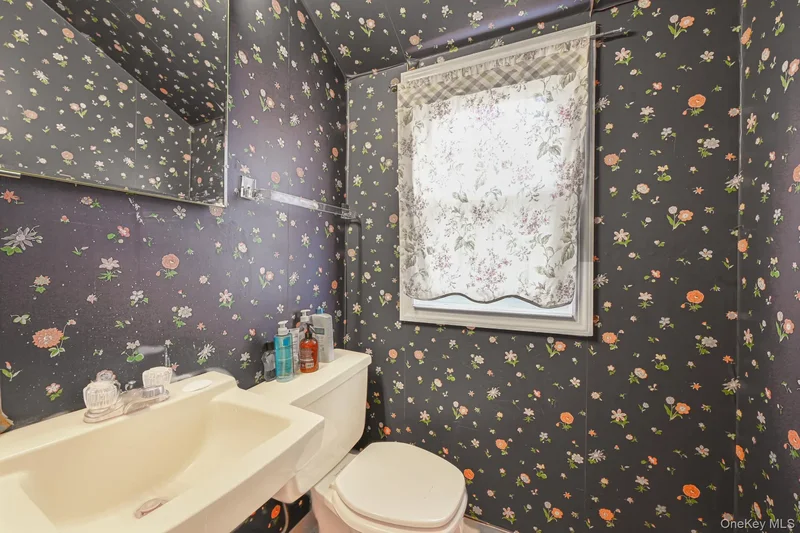 216 Birch Drive, New Hyde Park, NY 11040, New Hyde Park, New York, United States. - Photo 23