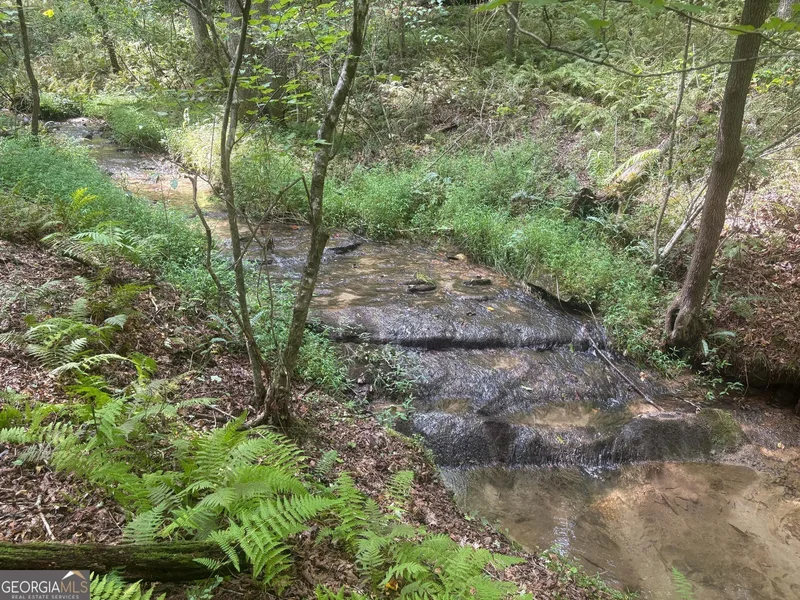 125 Winding Creek Road, Blue Ridge, GA 30513, Cherry Log, Georgia, United States. - Photo 45