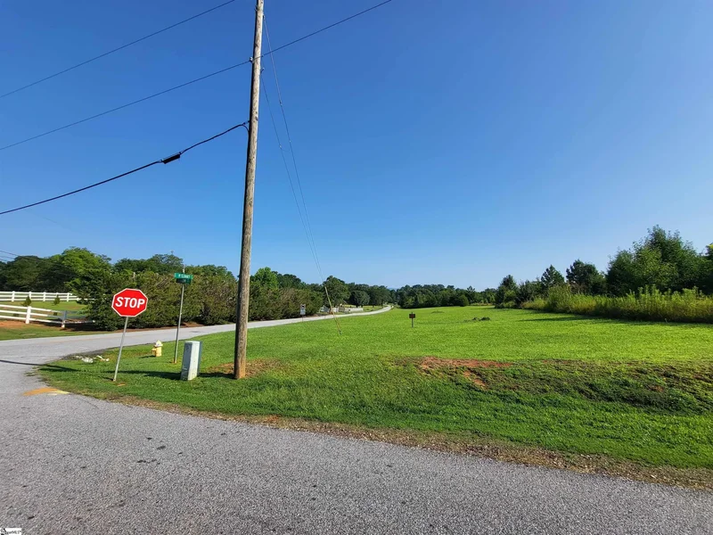 00 S Mcelhaney Road, Greer, SC 29651, Greer, South Carolina, United States. - Photo 2