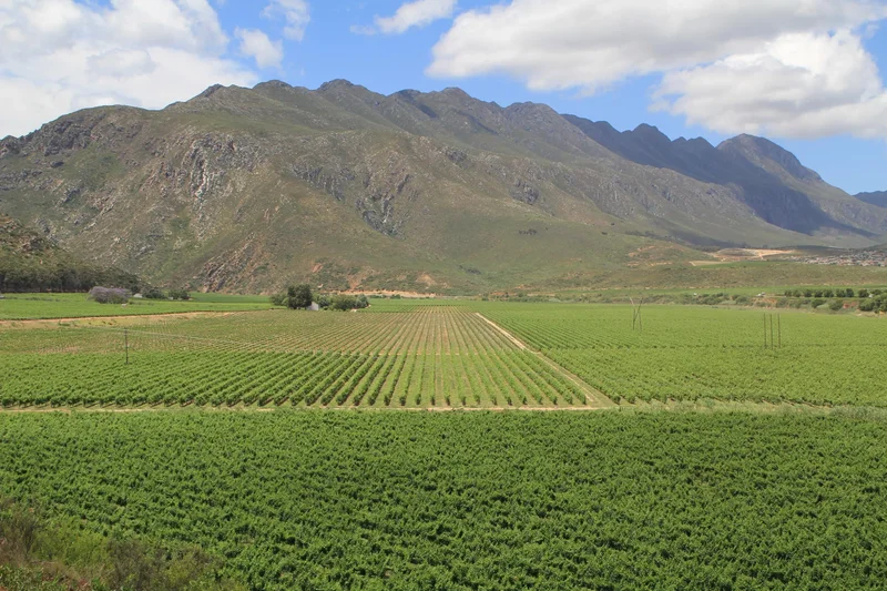 Ashton, Western Cape, South Africa. - Photo 32